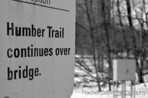 humber trail old mill bw