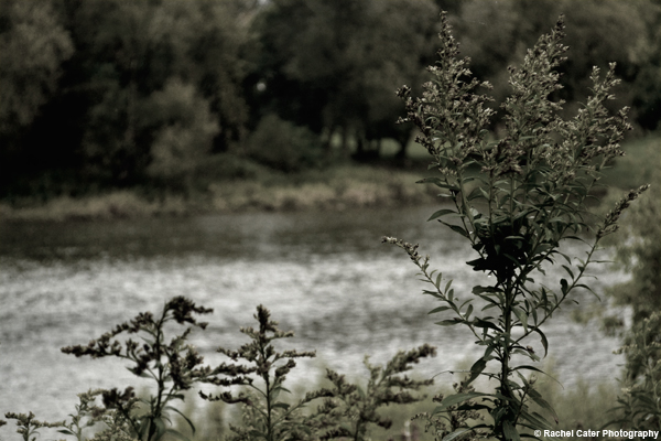By the River Rachel Cater Photography