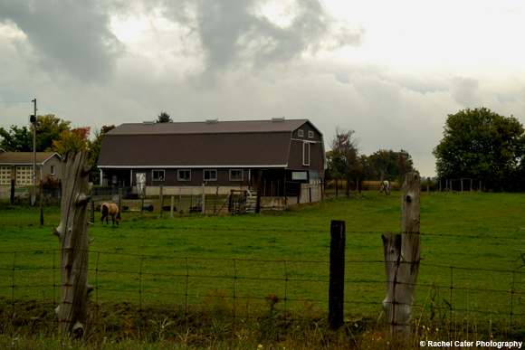 Ontario Farm Rachel Cater Photography