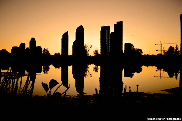 sunset-silhouettes-rachel-cater-photography